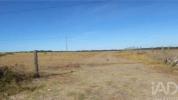 Acheter Terrain 15000 m2 ESTREMOZ