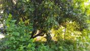 Acheter Maison 152 m2 OLIVEIRA-DO-HOSPITAL