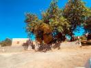 Annonce Vente Maison OLHAO