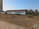 Annonce Vente Local industriel MORA