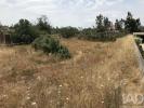 Acheter Terrain 3000 m2 OUREM