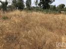 Acheter Terrain OUREM r�gion SANTAREM