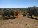 Annonce Vente Terrain CASTRO-MARIM