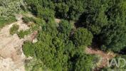Acheter Terrain MAFRA r�gion LISBOA