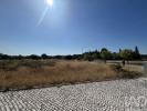 Vente Terrain MOITA 2445