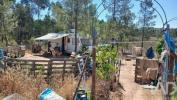Annonce Vente Terrain CASTELO-BRANCO