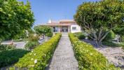 Acheter Maison 385 m2 TABUA