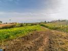 Acheter Terrain MAFRA r�gion LISBOA