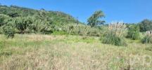 Vente Terrain MAFRA 2640