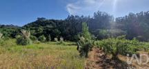 Annonce Vente Terrain MAFRA