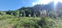 Acheter Terrain 14311 m2 MAFRA