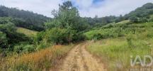 Annonce Vente Terrain MAFRA