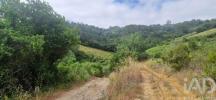 Acheter Terrain 4187 m2 MAFRA