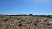Acheter Terrain 1500 m2 MAFRA