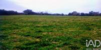Acheter Terrain 32767 m2 PORTALEGRE