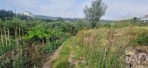 Acheter Terrain MAFRA r�gion LISBOA