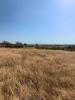 Annonce Vente Terrain ALCOUTIM