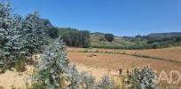 Acheter Terrain MAFRA r�gion LISBOA
