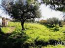 Acheter Terrain VIDIGUEIRA r�gion BEJA