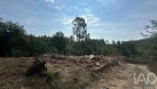 Annonce Vente Terrain PEDROGAO-GRANDE