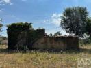 Vente Maison PEDROGAO-GRANDE 3270