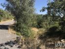 Acheter Terrain TOMAR région SANTAREM