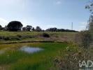 Annonce Vente Terrain SANTAREM