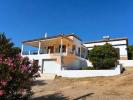 Annonce Location Maison TAVIRA