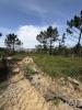 Acheter Terrain MAFRA r�gion LISBOA