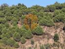 Acheter Terrain CASTRO-MARIM r�gion FARO