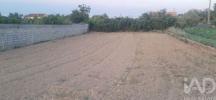 Annonce Vente Terrain VAGOS