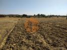 Acheter Terrain 11520 m2 ALCOUTIM