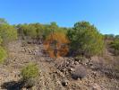 Annonce Vente Terrain ALCOUTIM