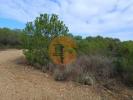 Annonce Vente Terrain ALCOUTIM