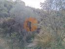 Acheter Terrain 2500 m2 ALCOUTIM