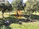 Annonce Vente Terrain CASTRO-MARIM