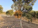 Acheter Terrain 3080 m2 CASTRO-MARIM
