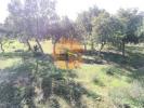 Acheter Terrain CASTRO-MARIM r�gion FARO