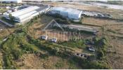 Annonce Vente Local industriel MAFRA