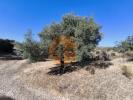 Acheter Terrain CASTRO-MARIM r�gion FARO
