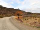Acheter Terrain 2000 m2 CASTRO-MARIM