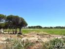 Annonce Vente Terrain LOULE