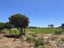 Acheter Terrain 1000 m2 LOULE