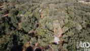 Annonce Vente Terrain FERREIRA-DO-ZEZERE