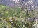 Acheter Terrain 1944 m2 FERREIRA-DO-ZEZERE