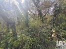 Acheter Terrain FERREIRA-DO-ZEZERE r�gion SANTAREM