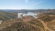 Acheter Terrain 32767 m2 SAO-BARTOLOMEU-DE-MESSINES