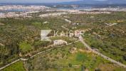Acheter Terrain 4690 m2 FERRAGUDO