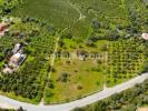 Vente Terrain OLHAO 8700
