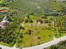 Annonce Vente Terrain OLHAO